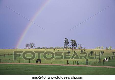Rainbow over Fields UK View Large Photo Image Stock Image - Rainbow over Fields UK. Fotosearch