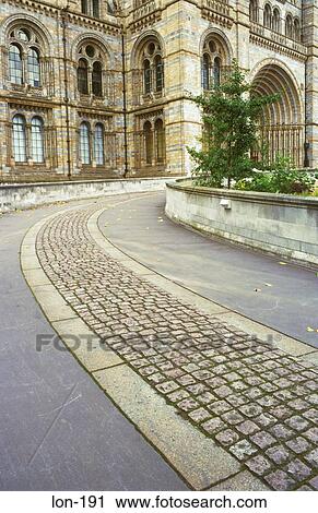Stock Image - Road at Entrance to Natural History Museum London. Fotosearch
