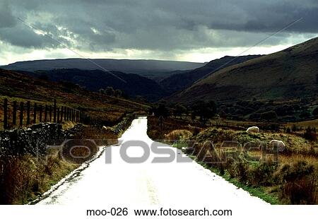 Road going through Welsh Hills View Large Photo Image Stock Photograph - Road going through Welsh Hills. Fotosearch
