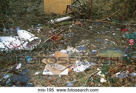 Rubbish in Woods UK View Large Photo Image Stock Photography - Rubbish in Woods UK. Fotosearch
