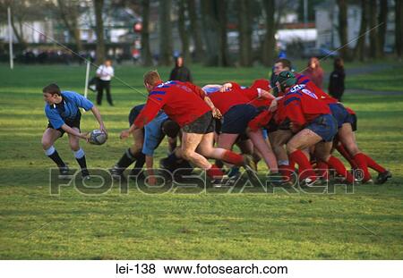 Rugby Player Passing Ball out of Scrum View Large Photo Image Stock Photo - Rugby Player Passing Ball out of Scrum. Fotosearch