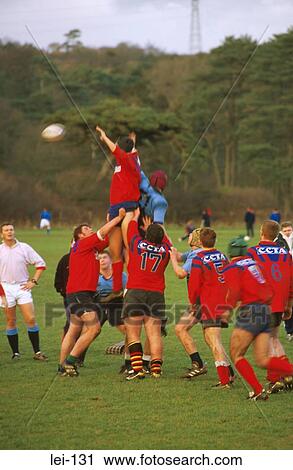Rugby Players Jumping for Ball View Large Photo Image Stock Image - Rugby Players Jumping for Ball. Fotosearch