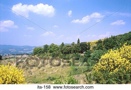 Rural Tuscan Landscape Italy View Large Photo Image Stock Photo - Rural Tuscan Landscape Italy. Fotosearch