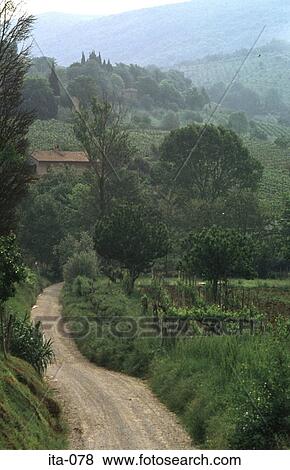 Small Road in Rolling Countryside Tuscany Italy View Large Photo Image Stock Photo - Small Road in Rolling Countryside Tuscany Italy. Fotosearch