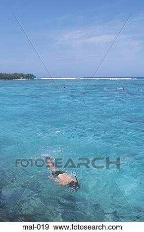Stock Photo - Snorkelling Lhohifushi Maldives. Fotosearch
