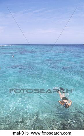 Snorkelling Lhohifushi Maldives View Large Photo Image Stock Photography - Snorkelling Lhohifushi Maldives. Fotosearch