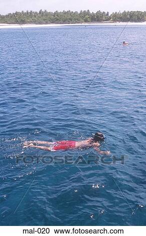 Snorkelling Thulusdhoo Maldives View Large Photo Image Stock Image - Snorkelling Thulusdhoo Maldives. Fotosearch