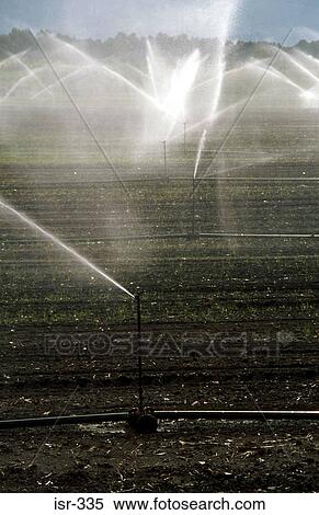 Sprinkler Irrigating Field Israel View Large Photo Image Stock Photography - Sprinkler Irrigating Field Israel. Fotosearch