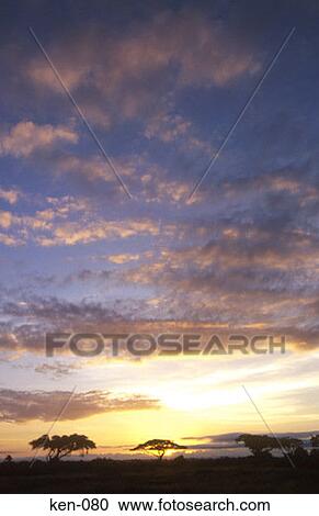 Sunset Amoseli National Reserve Kenya View Large Photo Image Stock Image - Sunset Amoseli National Reserve Kenya. Fotosearch