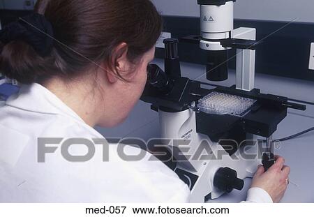 Technician Examining Test Vials Using Microscope UK View Large Photo Image Stock Photo - Technician Examining Test Vials Using Microscope UK. Fotosearch