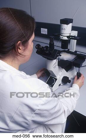 Technician Examining Test Vials Using Microscope UK View Large Photo Image Stock Photograph - Technician Examining Test Vials Using Microscope UK. Fotosearch
