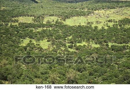 The Rift Valley Kenya View Large Photo Image Stock Photo - The Rift Valley Kenya. Fotosearch