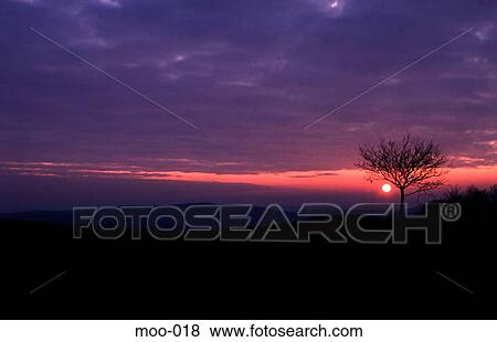 Tree and Hills Silhouetted at Sunset Wales UK View Large Photo Image Stock Photo - Tree and Hills Silhouetted at Sunset Wales UK. Fotosearch