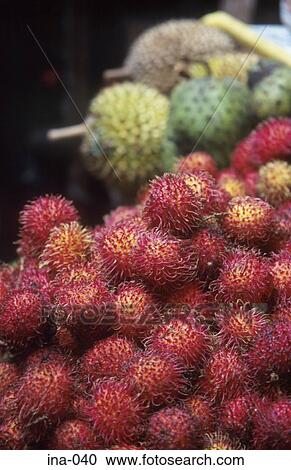 Tropical Fruit Bali View Large Photo Image Stock Image - Tropical Fruit Bali. Fotosearch