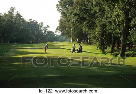 View down Fairway with Golfer taking Shot View Large Photo Image Stock Image - View down Fairway with Golfer taking Shot. Fotosearch