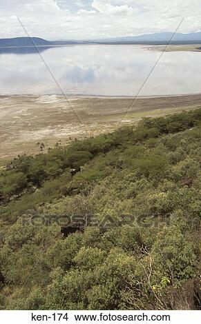 View of Lake Nakuru National Reserve Kenya View Large Photo Image Picture - View of Lake Nakuru National Reserve Kenya. Fotosearch