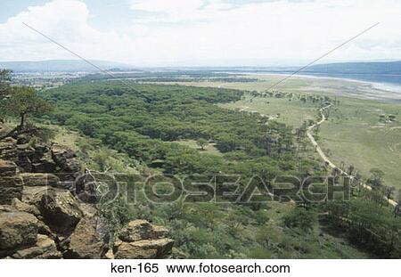 Stock Photography - View of Lake Nakuru National Reserve Kenya. Fotosearch