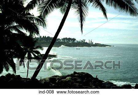 Stock Photo - View of Palm Trees and Sea Kerala India Asia. Fotosearch