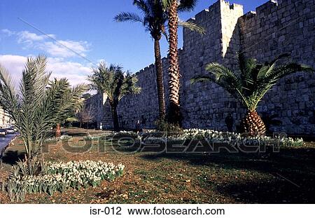Stock Image - Wall of Old City and Palms Jerusalem Israel. Fotosearch