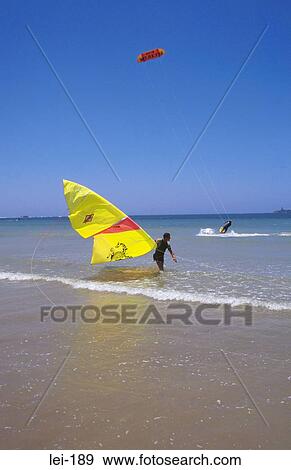 Windsurfer Entering the Sea View Large Photo Image Stock Photo - Windsurfer Entering the Sea. Fotosearch