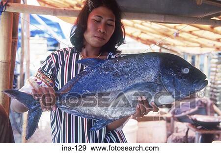 Woman Presenting Fish Bali View Large Photo Image Stock Photo - Woman Presenting Fish Bali. Fotosearch