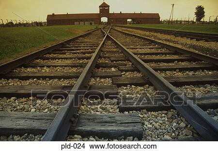 Approach to Auschwitz-Birkenau Poland View Large Photo Image Picture - Approach to Auschwitz-Birkenau Poland. Fotosearch