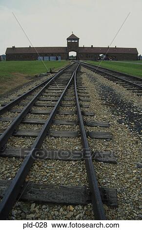 Approach to Auschwitz-Birkenau Poland View Large Photo Image Stock Photo - Approach to Auschwitz-Birkenau Poland. Fotosearch