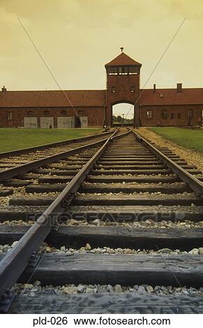 Approach to Auschwitz-Birkenau Poland View Large Photo Image Stock Photograph - Approach to Auschwitz-Birkenau Poland. Fotosearch