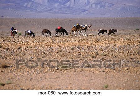 Caravan in Desert Morocco View Large Photo Image Stock Image - Caravan in Desert Morocco. Fotosearch