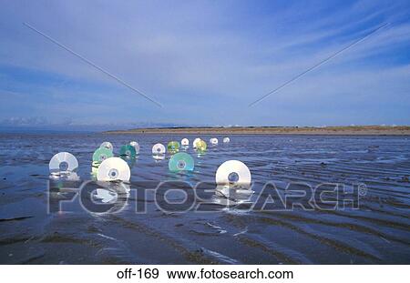 CD ROMs in Sand View Large Photo Image Stock Photo - CD ROMs in Sand. Fotosearch