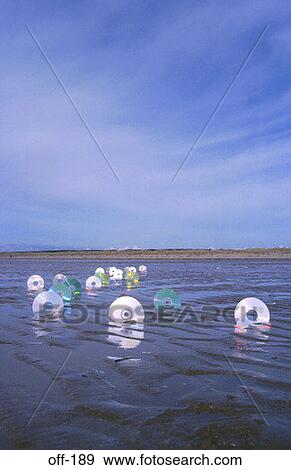 CD ROMs in Sand View Large Photo Image Stock Photo - CD ROMs in Sand. Fotosearch