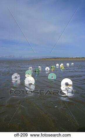 CD ROMs in Sand View Large Photo Image Stock Photo - CD ROMs in Sand. Fotosearch