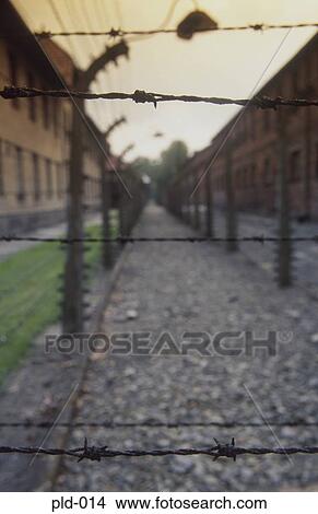 Close up of Barbed Wire Auschwitz Poland View Large Photo Image Picture - Close up of Barbed Wire Auschwitz Poland. Fotosearch