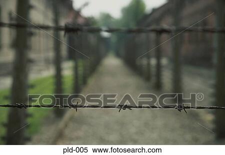 Close up of Barbed Wire Auschwitz Poland View Large Photo Image Stock Photography - Close up of Barbed Wire Auschwitz Poland. Fotosearch