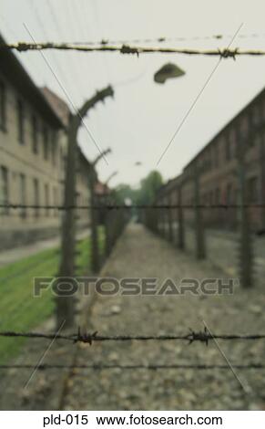 Close up of Barbed Wire Auschwitz Poland View Large Photo Image Stock Photography - Close up of Barbed Wire Auschwitz Poland. Fotosearch