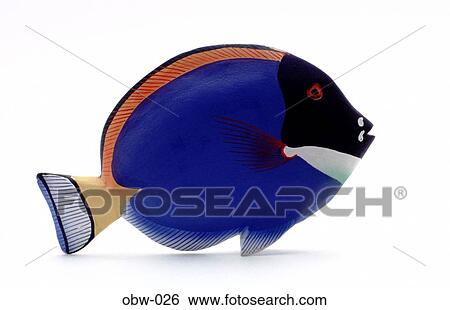 Colourful Blue Wooden Tropical Fish View Large Photo Image Stock Photograph - Colourful Blue Wooden Tropical Fish. Fotosearch
