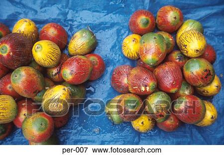 Colourful Tropical Fruit on Stall Iquitos Peru View Large Photo Image Stock Photo - Colourful Tropical Fruit on Stall Iquitos Peru. Fotosearch