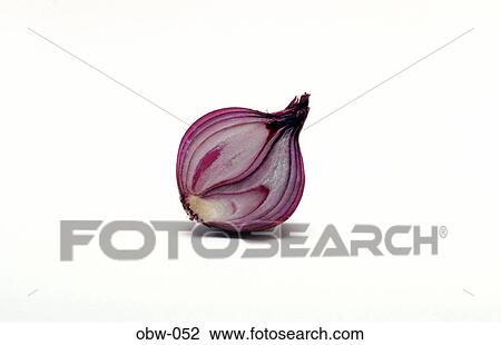 Cross Section of a Spanish Onion View Large Photo Image Stock Image - Cross Section of a Spanish Onion. Fotosearch