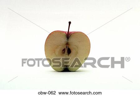 Cross Section of an Apple View Large Photo Image Stock Image - Cross Section of an Apple. Fotosearch