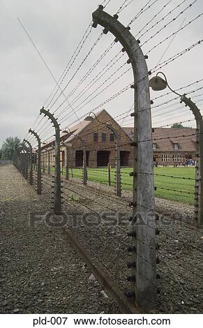 Electrified Barbed Wire Fence Auschwitz Poland View Large Photo Image Stock Photo - Electrified Barbed Wire Fence Auschwitz Poland. Fotosearch