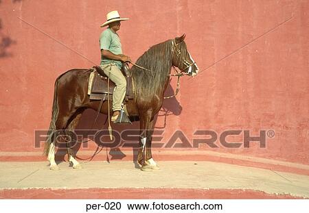 Farmer on Horseback Peru View Large Photo Image Stock Image - Farmer on Horseback Peru. Fotosearch