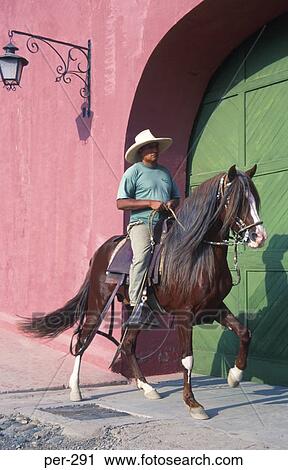 Farmer on Horseback Peru View Large Photo Image Stock Image - Farmer on Horseback Peru. Fotosearch