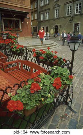 Flower Boxes Warsaw Old Twn Poland View Large Photo Image Picture - Flower Boxes Warsaw Old Twn Poland. Fotosearch