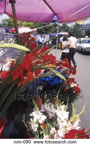 Flower Stall Piata Unirii Romania View Large Photo Image Stock Image - Flower Stall Piata Unirii Romania. Fotosearch