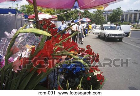 Flower Stall Piata Unirii Romania View Large Photo Image Stock Image - Flower Stall Piata Unirii Romania. Fotosearch