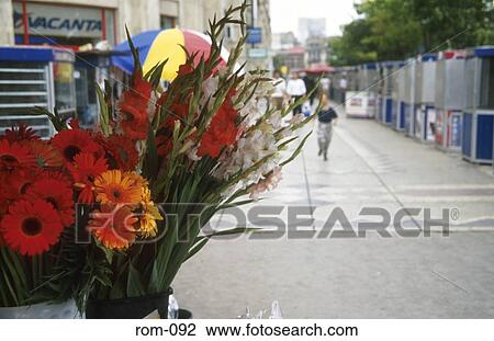 Stock Image - Flower Stall Piata Unirii Romania. Fotosearch