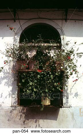Flowers in a Window San Felipe Panama City View Large Photo Image Picture - Flowers in a Window San Felipe Panama City. Fotosearch