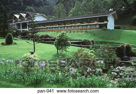 Garden Hotel Cerro Punta Chiriqui Panama View Large Photo Image Stock Image - Garden Hotel Cerro Punta Chiriqui Panama. Fotosearch