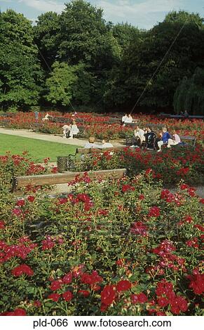 Gardens in the Royal Lazienkowski Park Warsaw Poland View Large Photo Image Stock Photograph - Gardens in the Royal Lazienkowski Park Warsaw Poland. Fotosearch