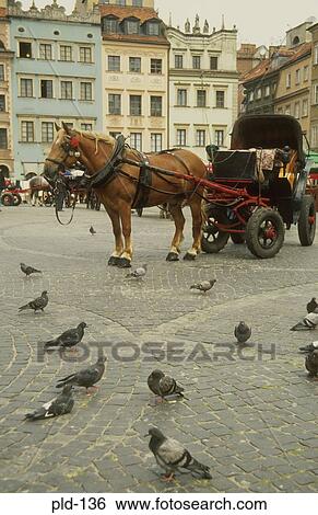 Horse and Carriage Market Square Warsaw Old Town Poland View Large Photo Image Stock Photograph - Horse and Carriage Market Square Warsaw Old Town Poland. Fotosearch